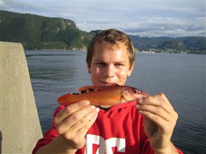 Fiskeri i Norge 2008