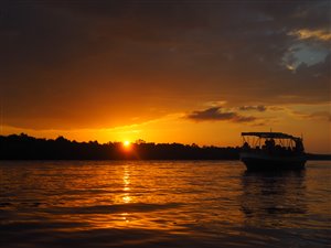 Solnedgang på Santubong River. Målet var ikke (desværre?) eksotiske fisk – men floddelfin, næseaber, saltvandskrokodille og ildfluer. Vi ”fangede” det hele!