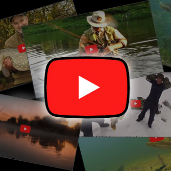 Fiskebiograf - Fiskevideoer fra hele verden