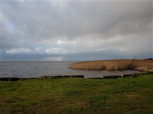 Nissum Fjord januar 2022.