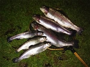 Godt fiskeri i Lundum - regnbuer i regnen - 15. januar 2020