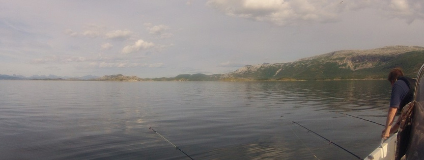 Fiskeri ved Saltstraumen i Norge 2013