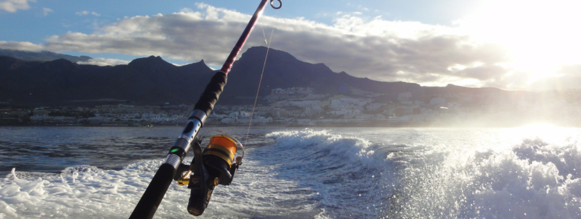 Lystfiskeri fra båd og kyst på Tenerife (Spanien) 2015