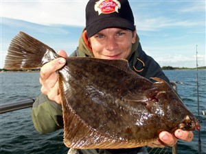 Fladfisketur på Langelandsbæltet med ROS. Ringkøbing og Omegns Sportsfiskerforening. - 24. september 2016